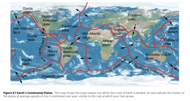 Earth's Continental Plates