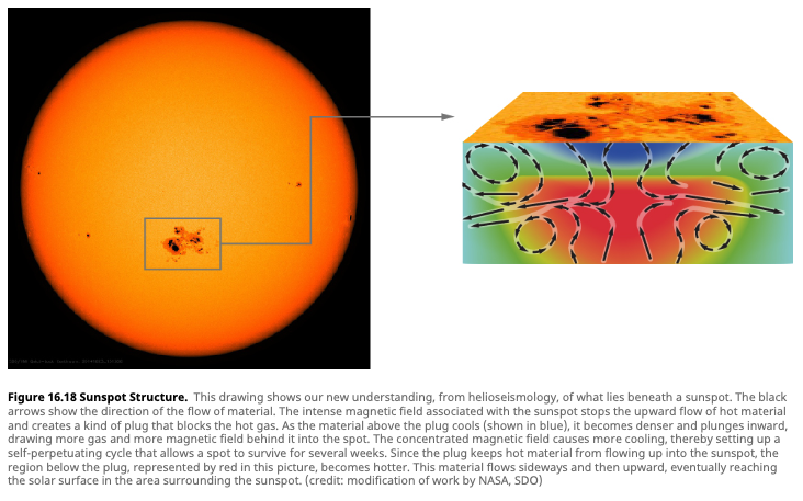Sunspot Structure